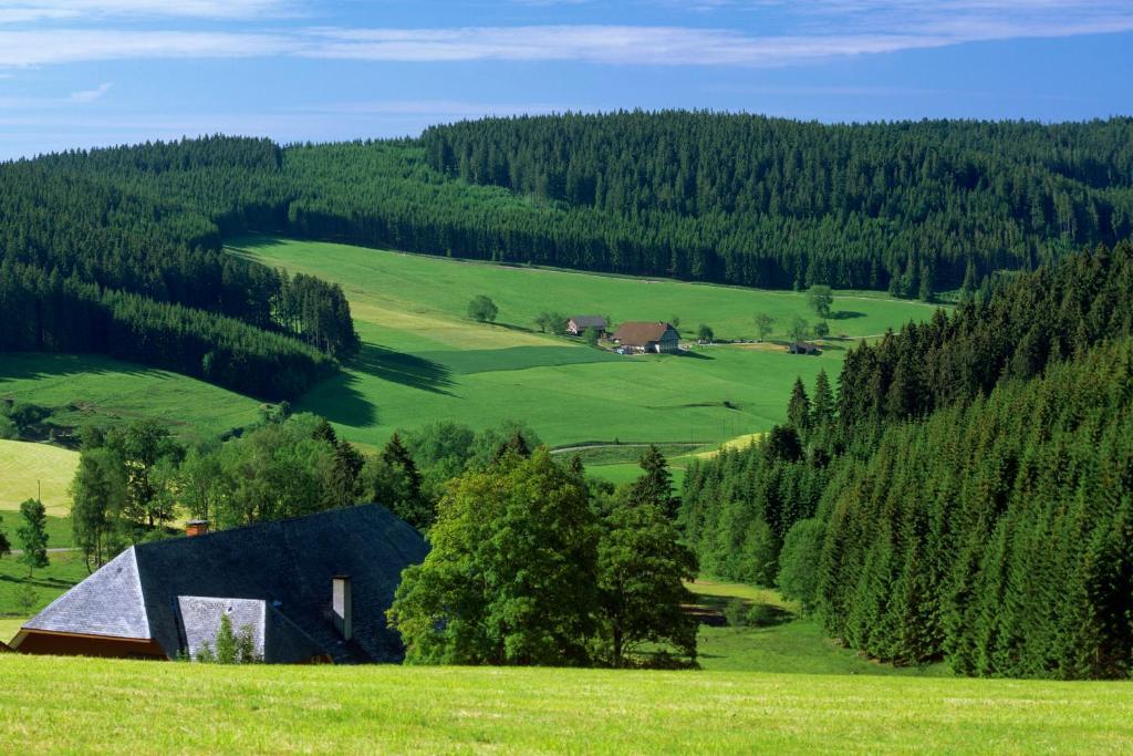 Gaestehaus Waldeck Titisee-Neustadt Εξωτερικό φωτογραφία